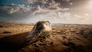 Photo de paysage